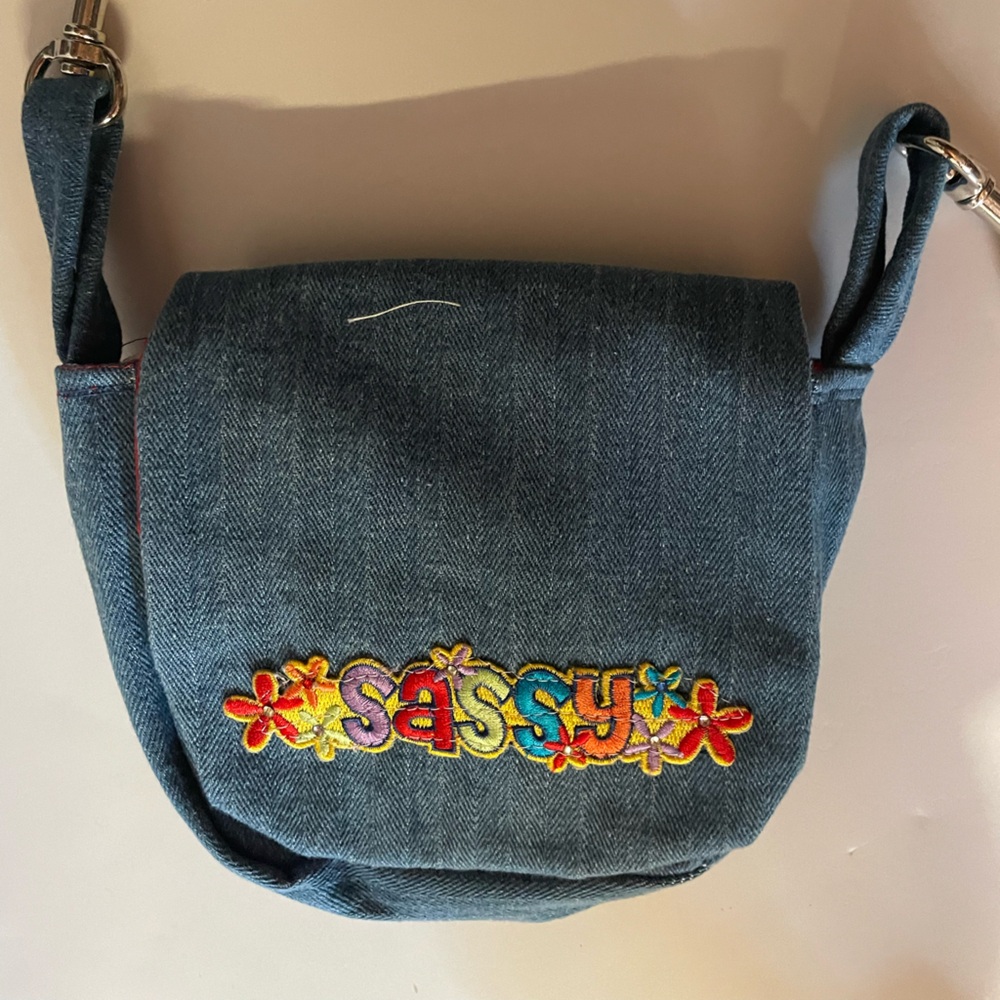 Sassy Belt Purse